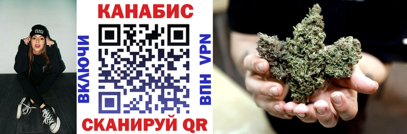 APVP Порхов